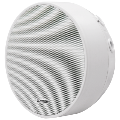 Altoparlante da soffitto  - Altoparlante a gamma completa 3" - Potenza 70V / 100V - Sensibilità 92dB - Intervallo 140Hz - 16kHz