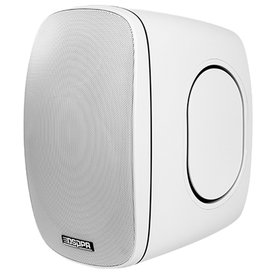 Altoparlante da soffitto  - Altoparlante a gamma completa 1x6.5" + 1x1" - Potenza 70V / 100V - Sensibilità 87dB - Intervallo 65Hz - 20kHz