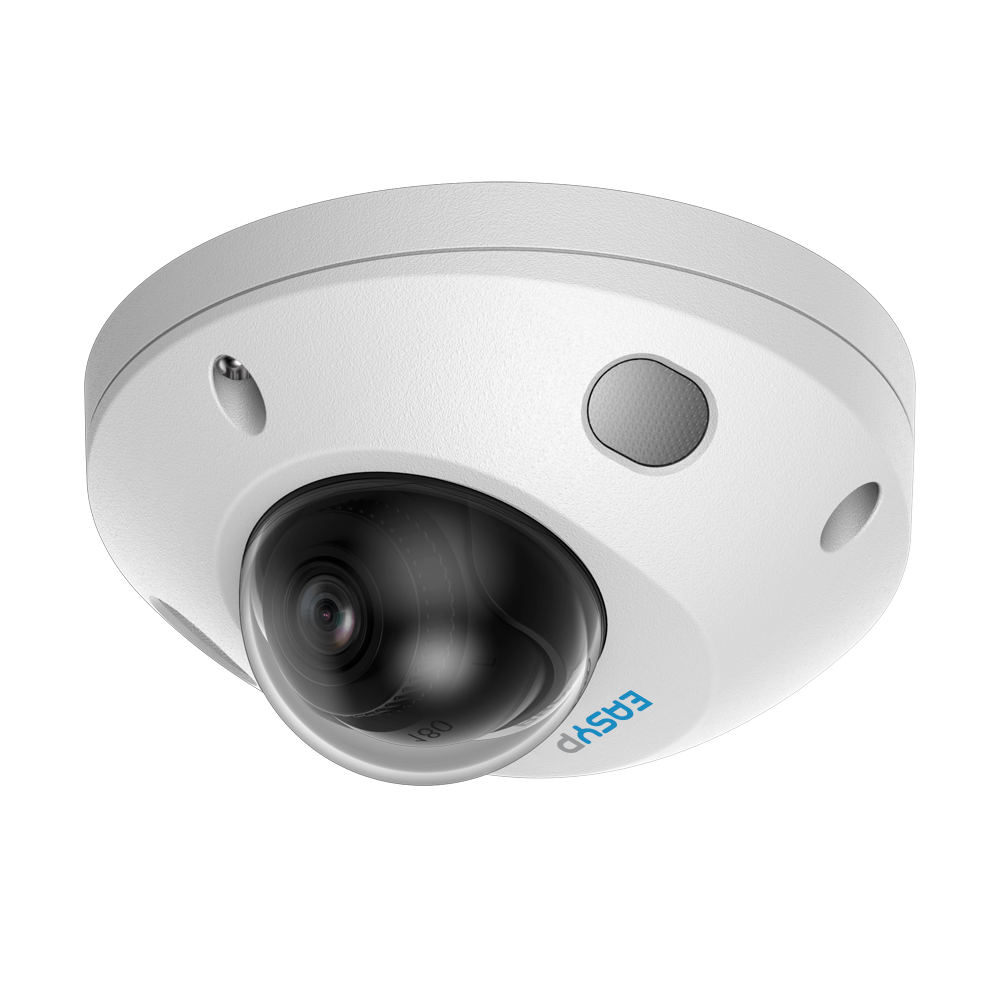 Telecamera Dome IP AI EASY-P - 5MP | Ottica 2.8 mm - Doppia illuminazione 25 m | Microfono - Installazione Plug & Play - IA per Persone e/o Veicoli - IP67 | PoE | IK08 | P2P | Metallo