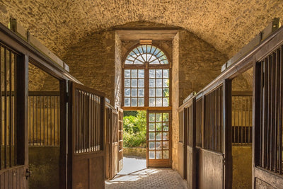 TUTELARSI PER TEMPO GIOVA ALLA SALUTE… E AL PORTAFOGLI