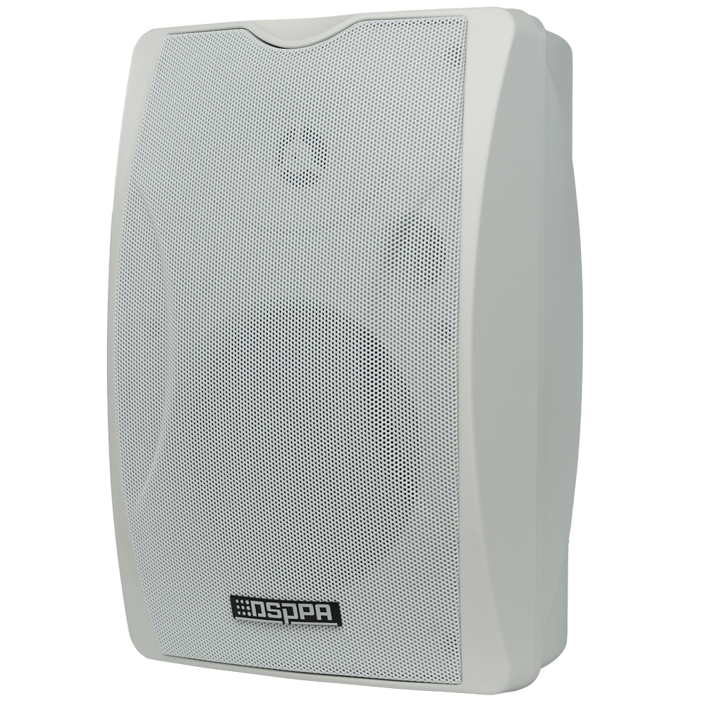 Altoparlante da soffitto  - Altoparlante a gamma completa 1x5" + 1x1" - Potenza 2 x 30W - Ingressi multipli