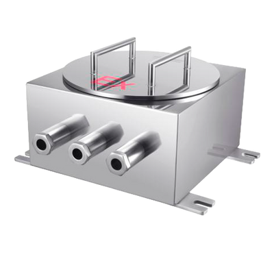 Caja de control ATEX Raythink - ATEX Ex d IIC T6 Gb/Ex tD A21 IP68 T80℃ - Acero inoxidable 304 - Grado protección IP68