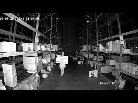 FENIVA | Hikvision - Telecamera minidome IP da 2 Mpx con ottica varifocale motorizzata (zoom) - Serie: HiWatch, Illuminazione minima: 0.005Lux