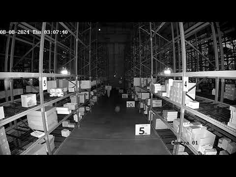 FENIVA | Hikvision - Telecamera minidome IP da 2 Mpx con ottica fissa - Angolo di visione: 114º, Serie: HiWatch