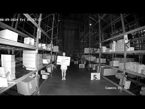 FENIVA | Hikvision - Telecamera minidome IP da 2 Mpx con ottica varifocale motorizzata (zoom) - Serie: HiWatch, Illuminazione minima: 0.01Lux